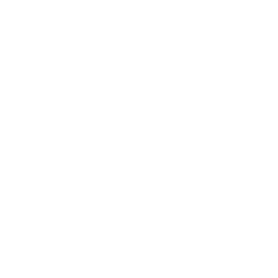 Favicon (Dark)